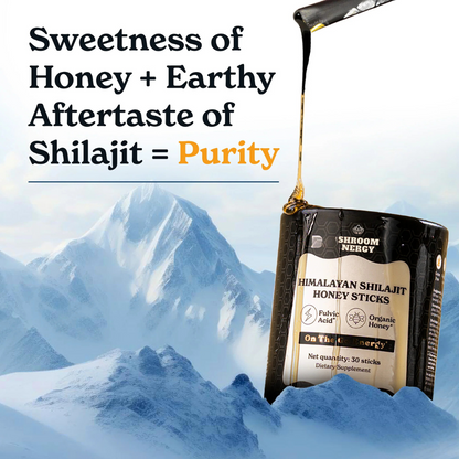 Shroomnergy - Shilajit Honey Sticks | Buy 1 Get 1 Free